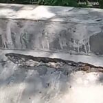 Hampir Sepanjang Bangunan Retak, Proyek Lining Saluran BBWS Citanduy di Desa Bumireja Jadi Sorotan
