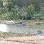 Tebing Sungai Luk Ulo Ambrol, Petani Kemangguan Soroti Maraknya Tambang Diesel Ilegal